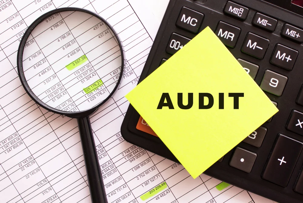 Registered And Approved Audit Firms in Dubai Silicon Oasis (DSO)