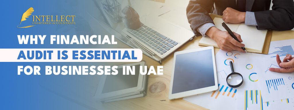 Financial audit service in Dubai