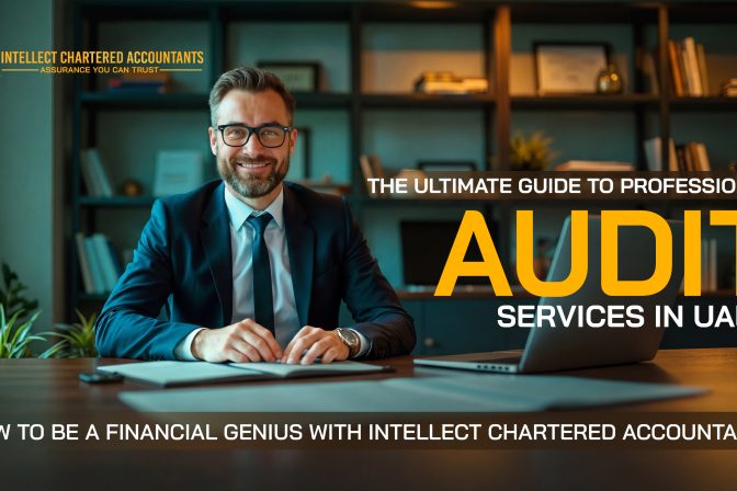 The Ultimate Guide to Professional Audit Services in UAE – How To Be A Financial Genius With Intellectca.ae