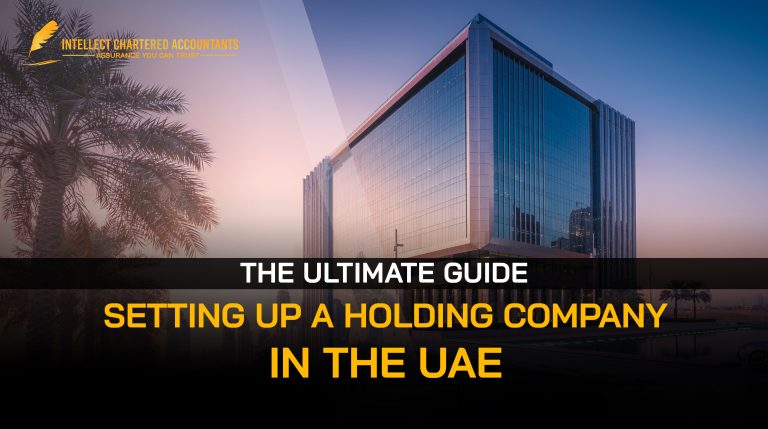 Holding company in UAE