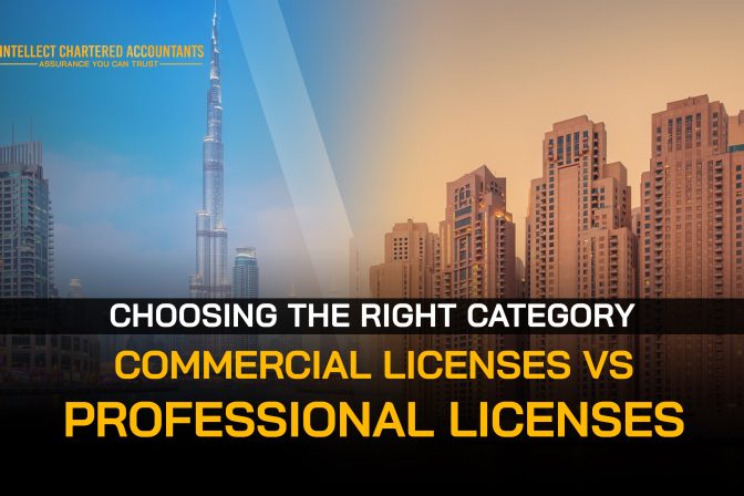 Commercial vs. Professional Licenses: Choosing the Right Category