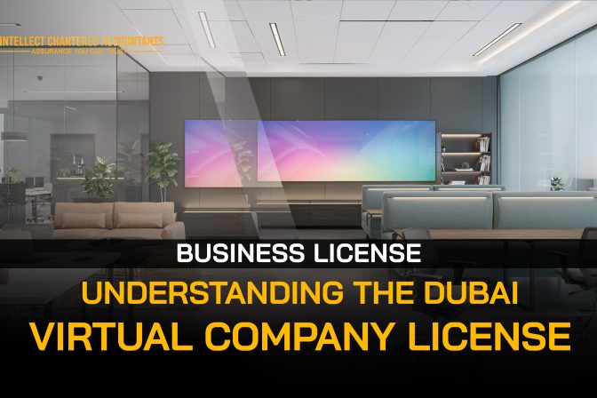 Understanding the Dubai Virtual Company License