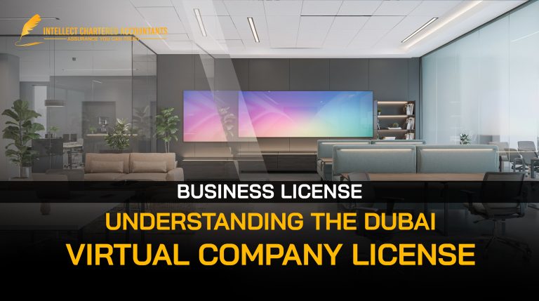 Dubai Virtual Company License