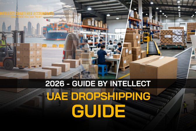 The 2026 UAE Drop Shipping Guide by Intellect