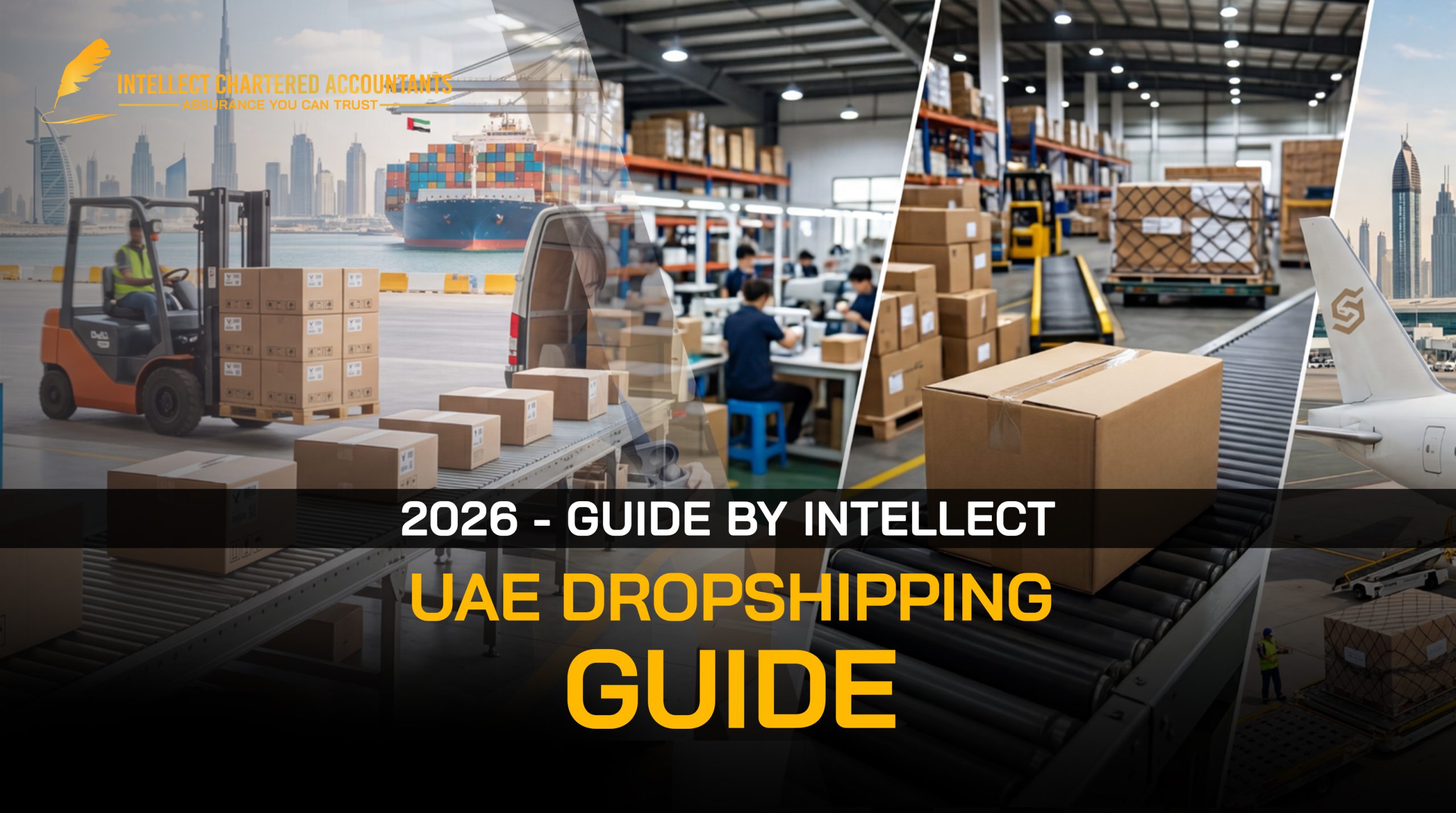 The 2026 UAE Drop Shipping Guide by Intellect