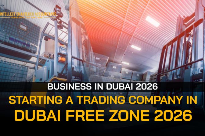Starting a Trading Company in Dubai Free Zone 2026